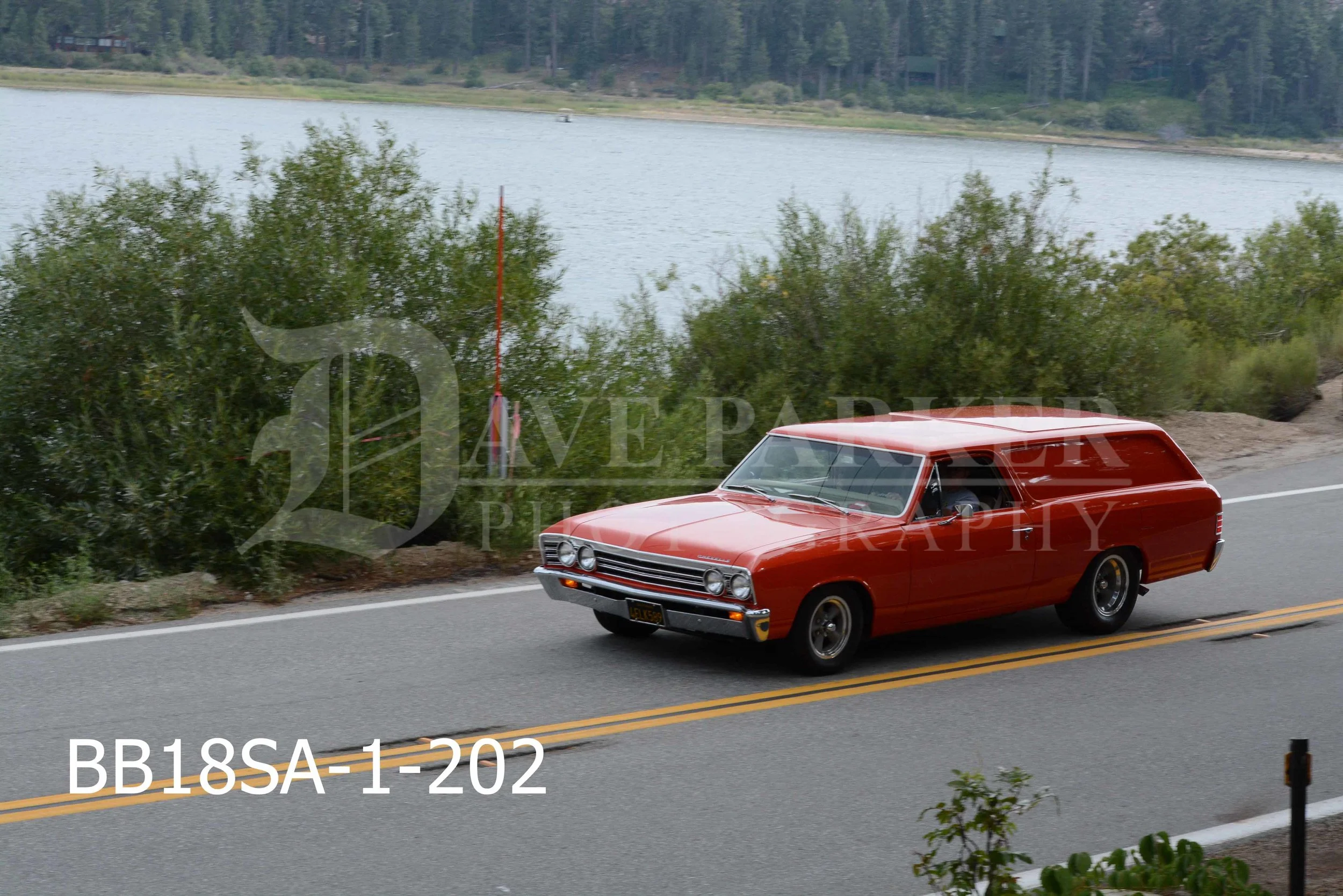 BB18SA-1-202.jpg