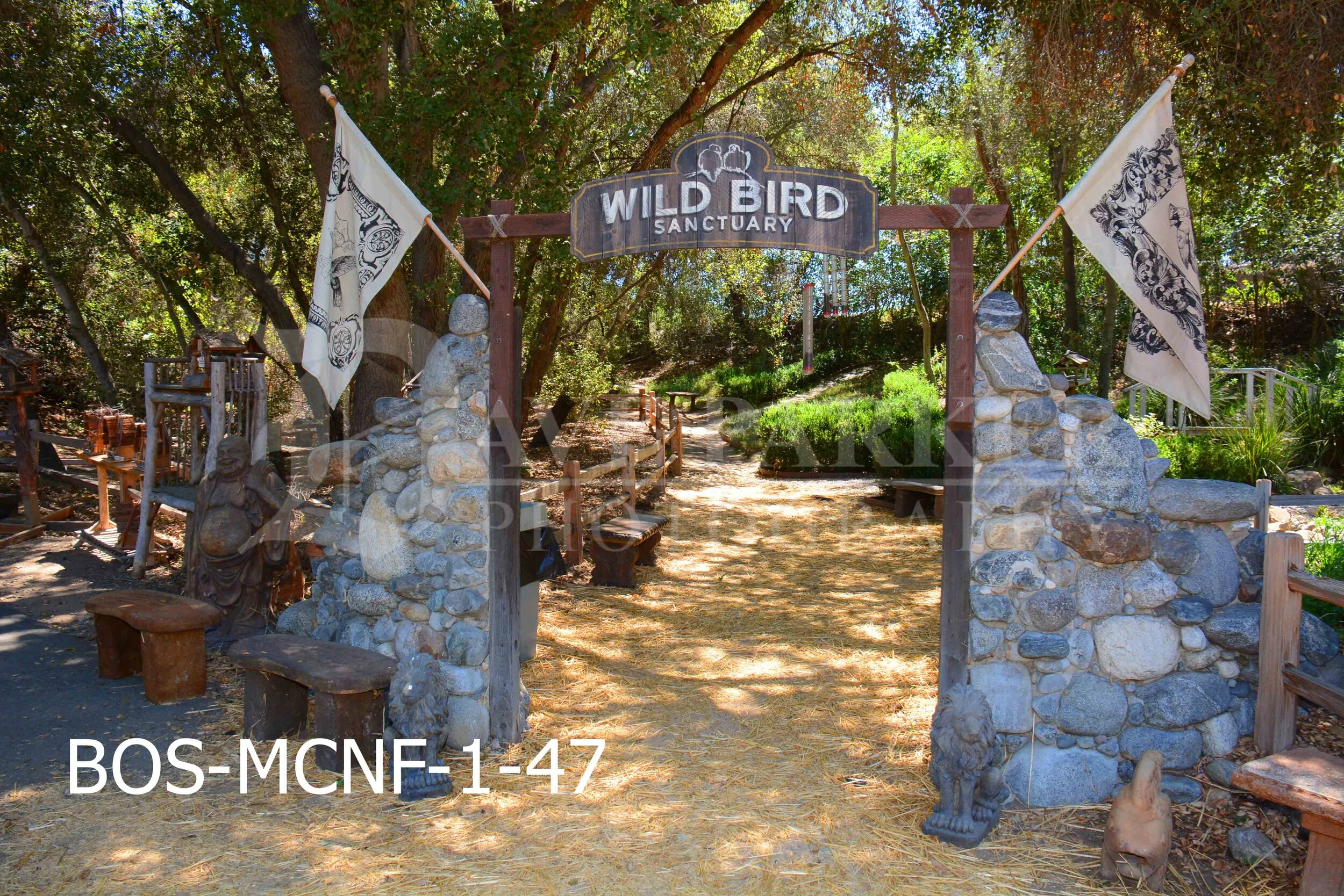 Best of Show - Myrtle Creek Nursery, Fallbrook — Dave Parker Photography