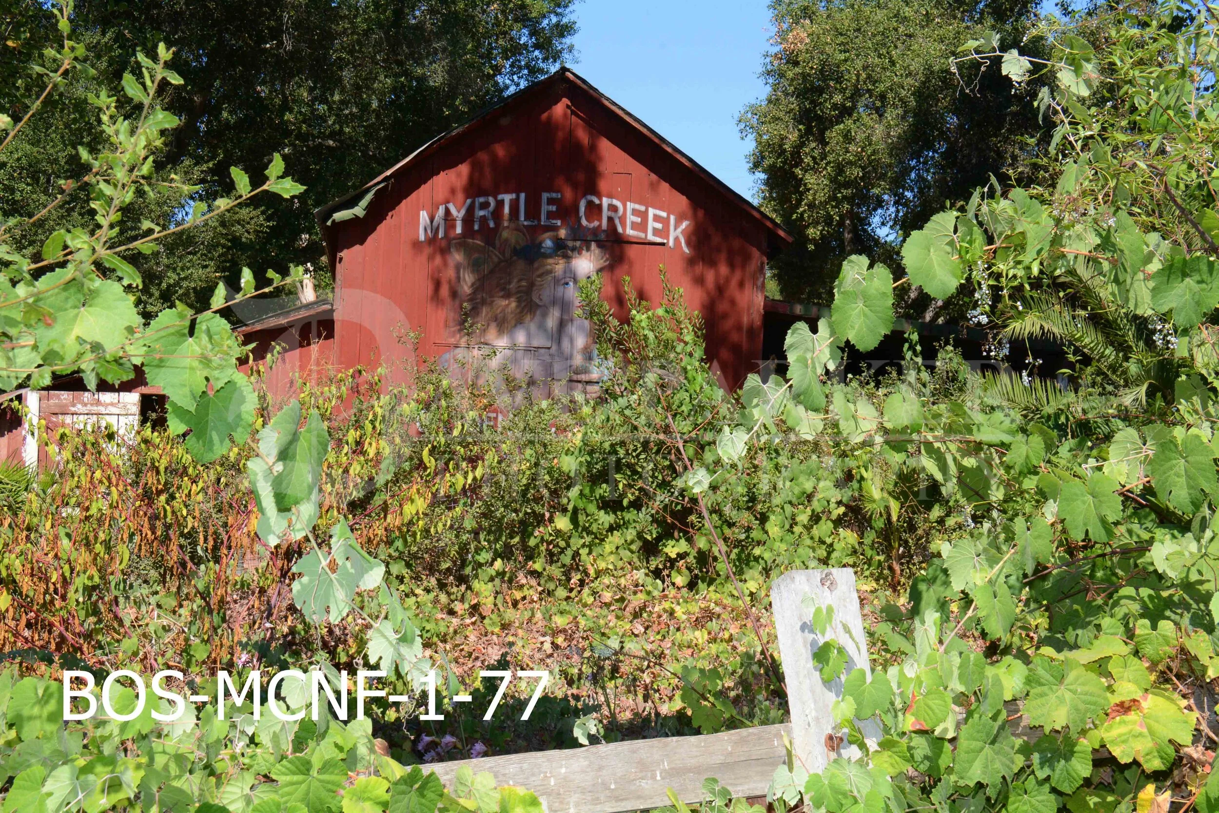 Best of Show - Myrtle Creek Nursery, Fallbrook — Dave Parker Photography