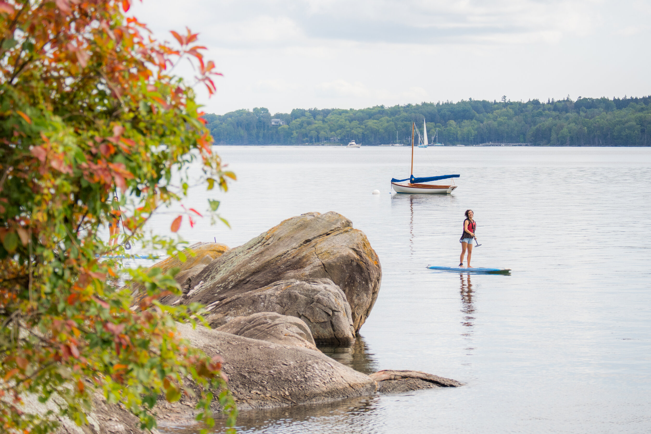 Another paddle board.jpg