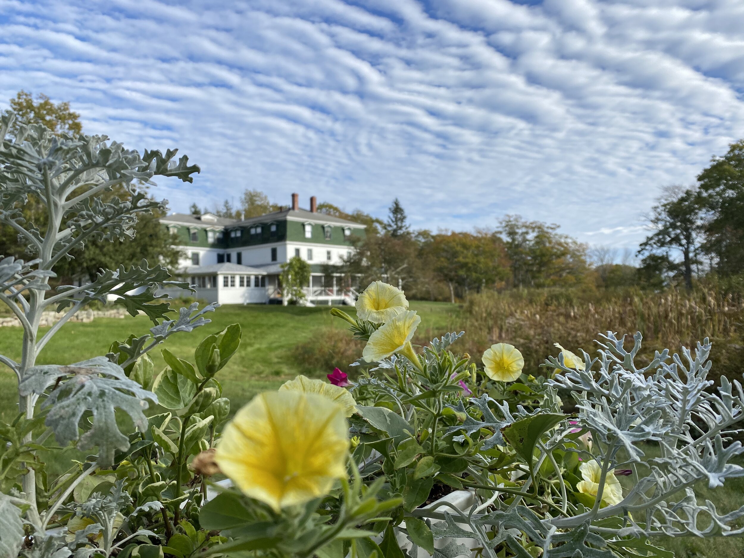 Flowers Inn .jpeg