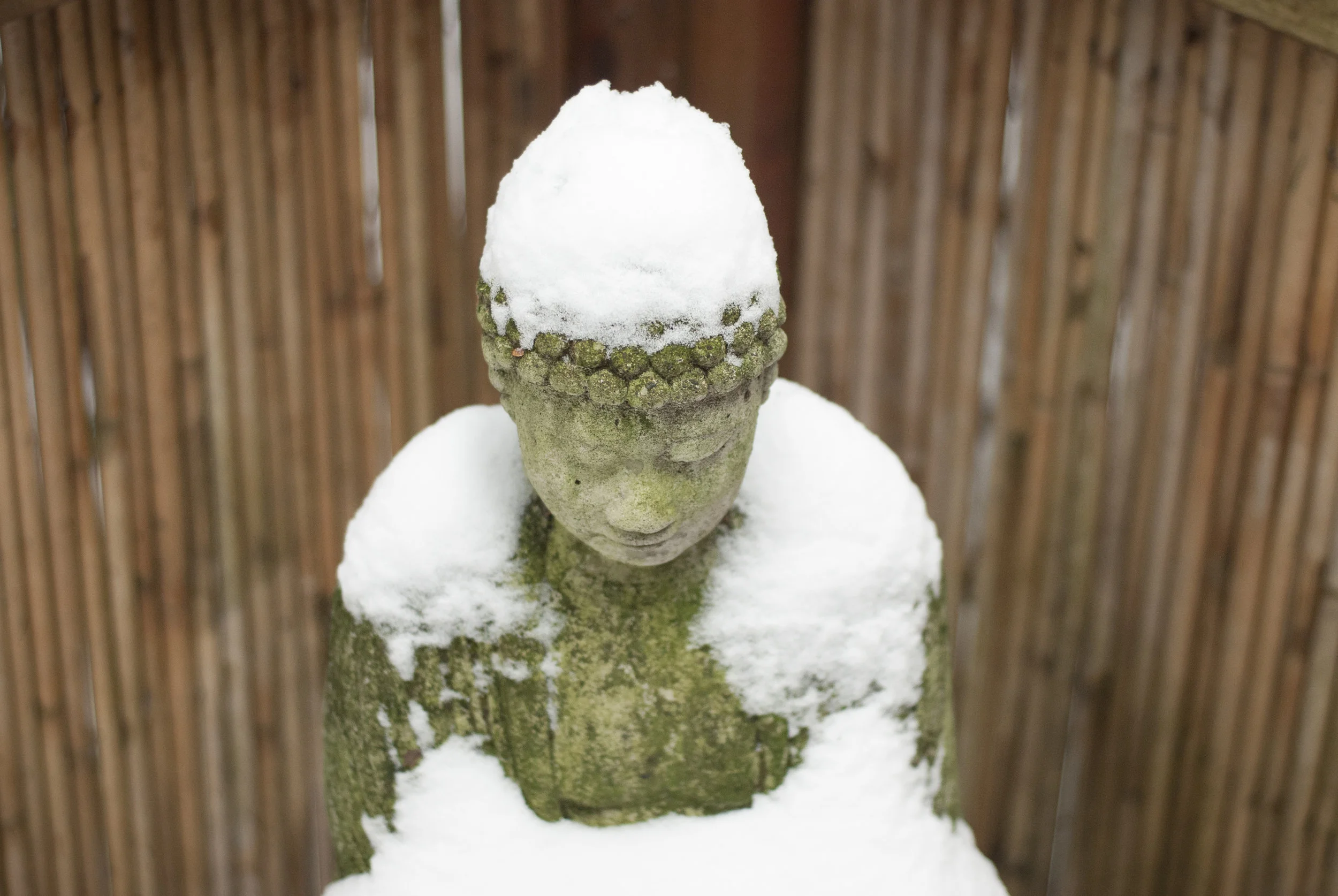 It’s a Buddha thing...