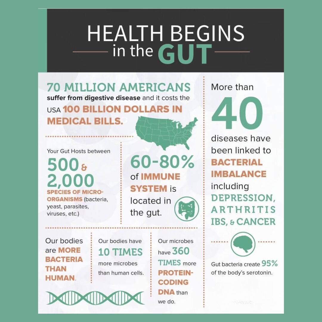 The role of the gastro-intestinal tract in immune health cannot be overstated!  The GI tract encounters more microbes and potentially harmful molecules than any other part of the body through the foods we eat.  For this reason, over 70% of the immune