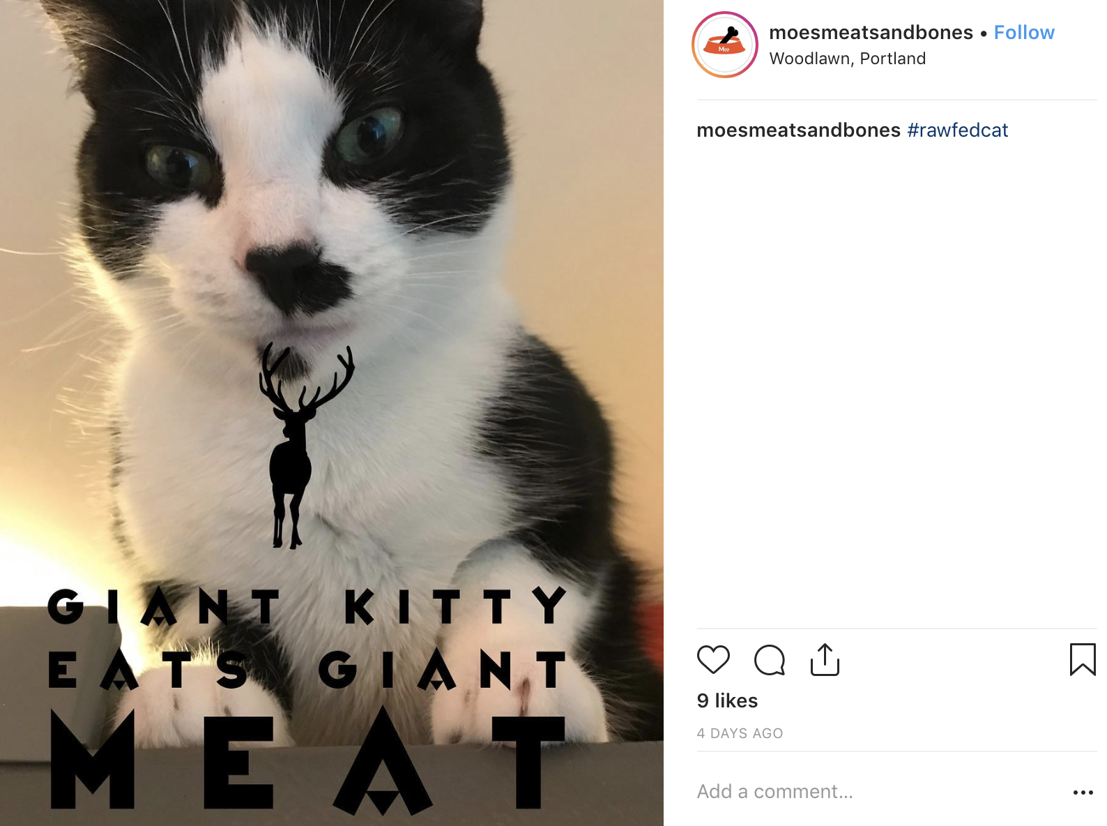 Screen Shot 2018-12-19 at 6.33.07 PM.png