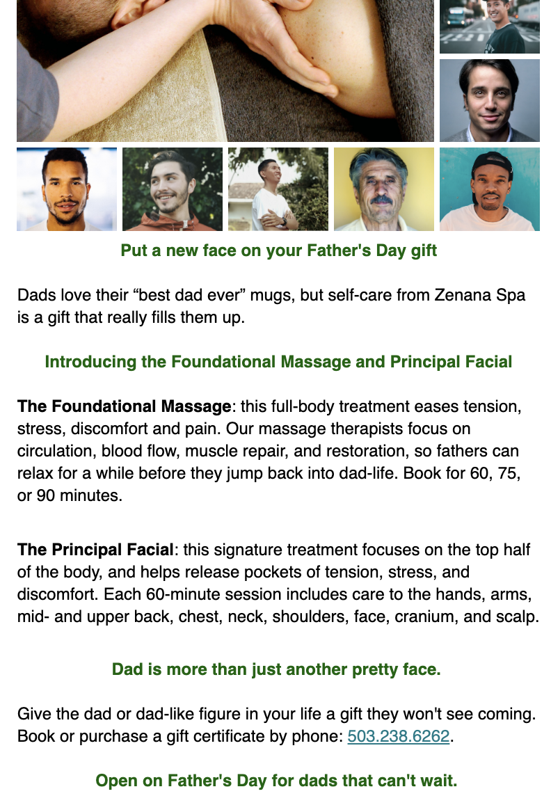 Spa newsletter example.png