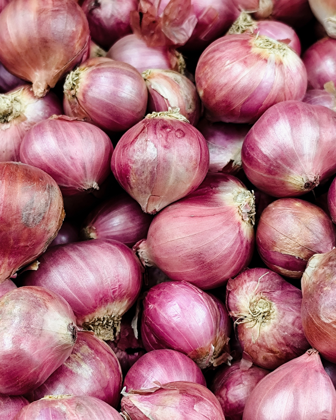How to Measure Organic Social Media ROI: The Metrics That Actually Matter