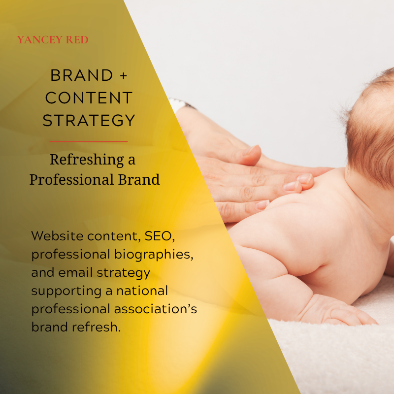 Website Content &amp; SEO Strategy for a Professional Association