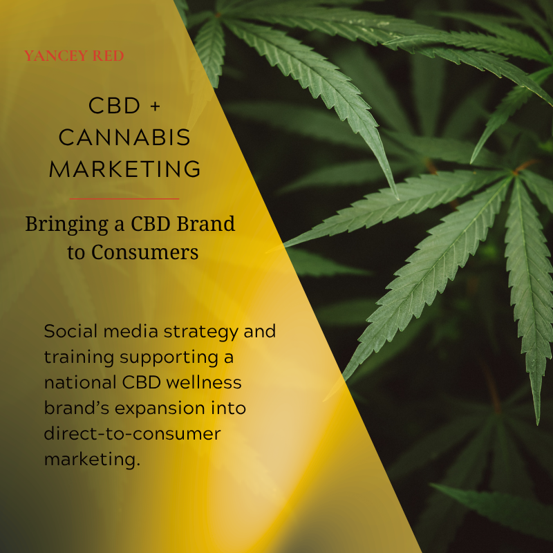 CBD &amp; Cannabis Social Media Strategy and Training