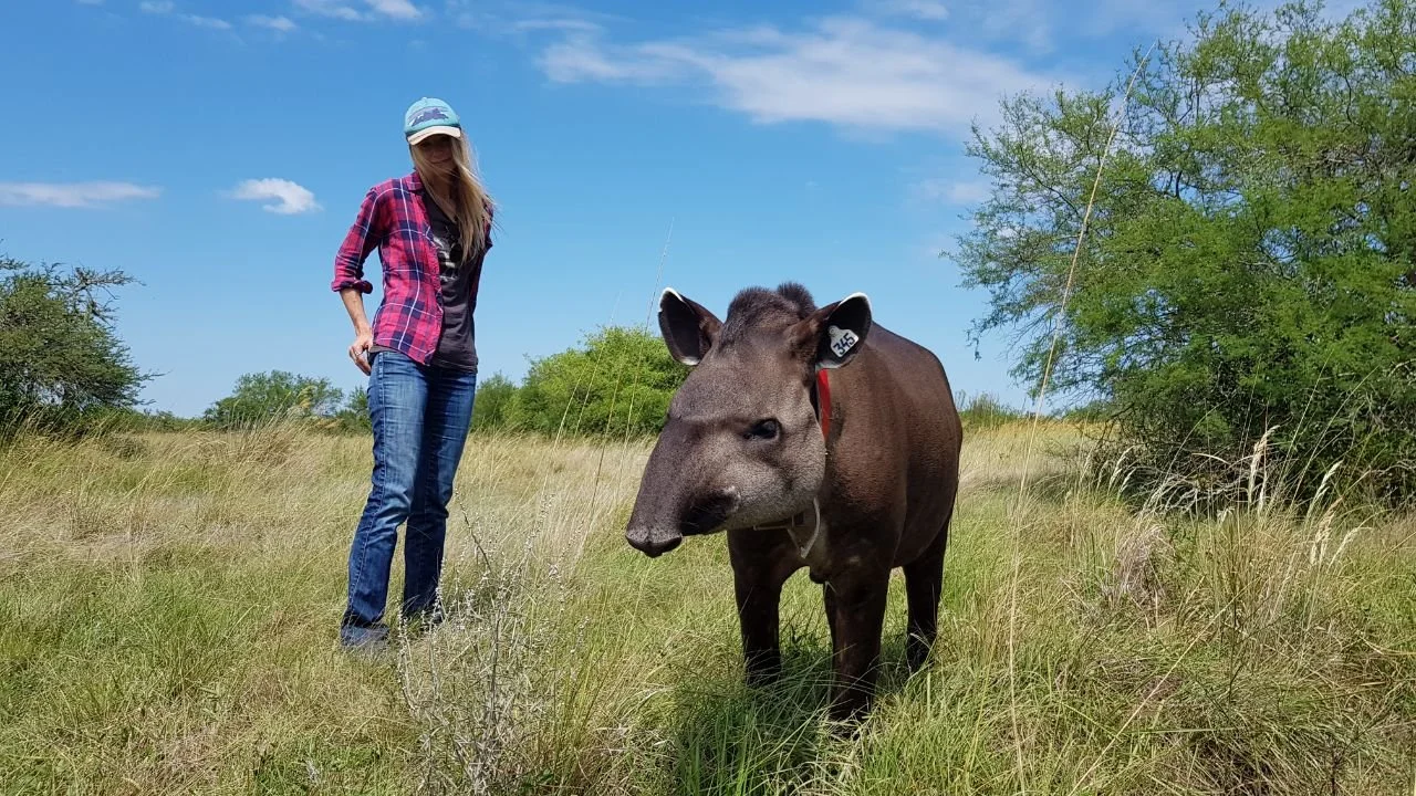 9623747b-89b6-456c-ae10-a999c8df3105 3.JPG