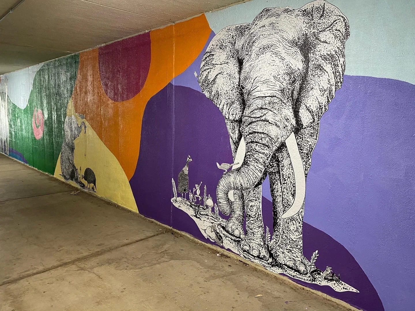 D9C4496C-8B1F-42DF-BC36-3F0BBC0875F2 2.JPG