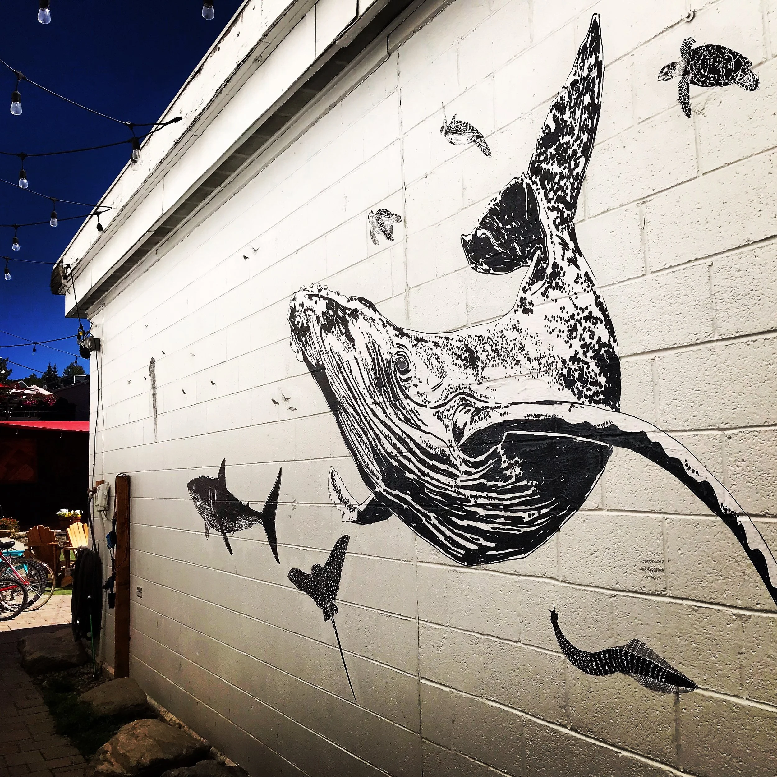 E0A51CCE-51F9-4C16-B8DE-16D34FE0900B 2.JPG