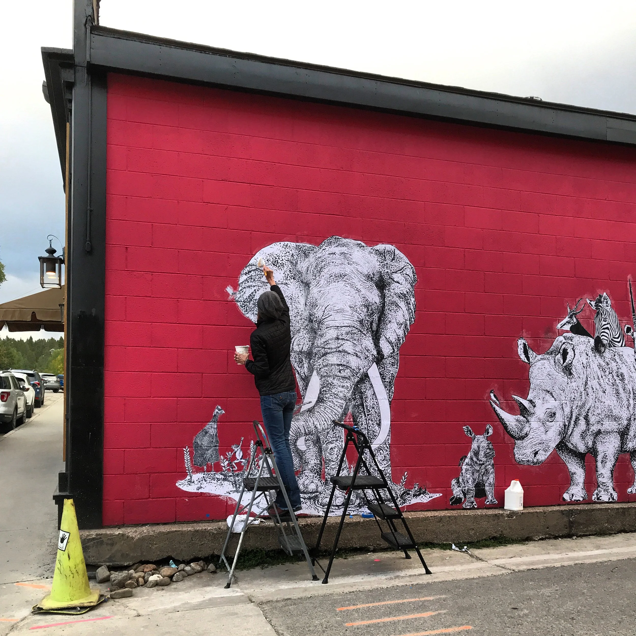 1F5E45EE-39B7-408B-ACE5-B2EEE9338815 2.JPG