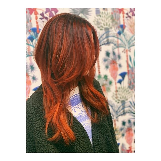 REDS❣️ COPPERS ❣️ FIRE 🔥 
by @sandybleaches .
.
.
.
.
.
.
#redhair #copperhair #redhead #lasalon #losangelessalon #eastlsalon #colorist #lastylist #lacolorist #sandybleached #sandyhair #davinessalon #davinescolor #evohair