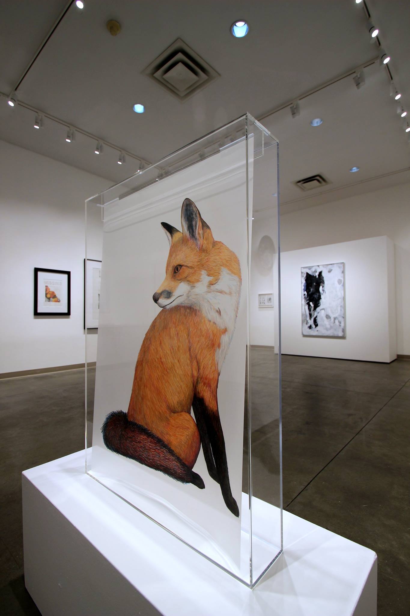 Things We Try to Keep (II) , installation view
