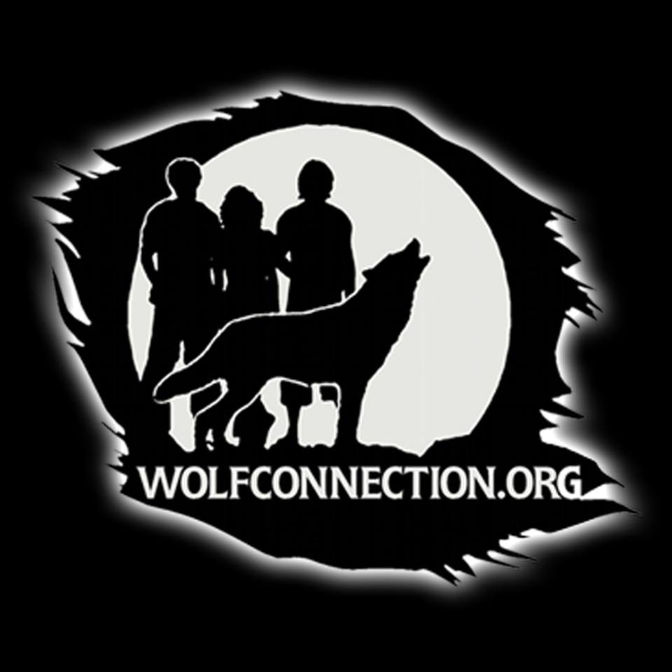 WolfConn LOGO.jpg