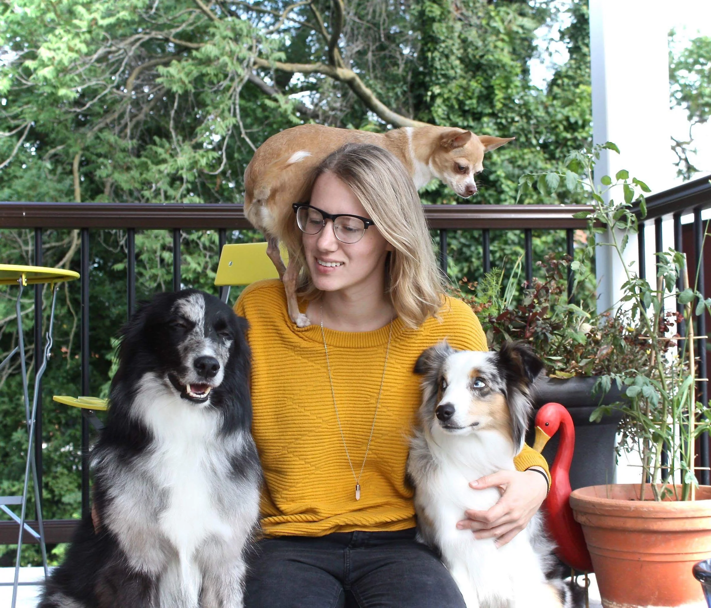 Gabby dogs.jpg