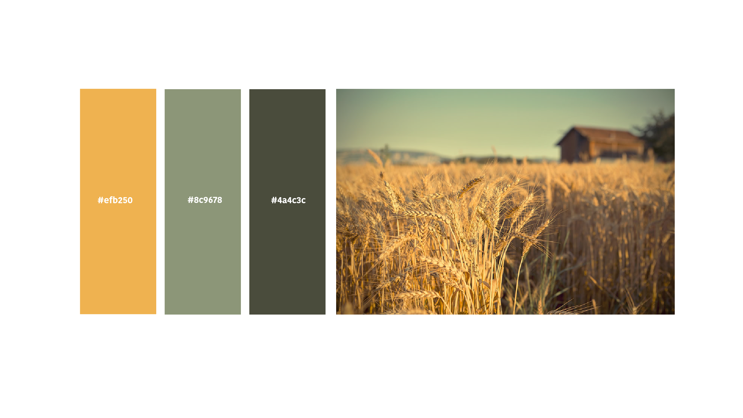 Color Palette