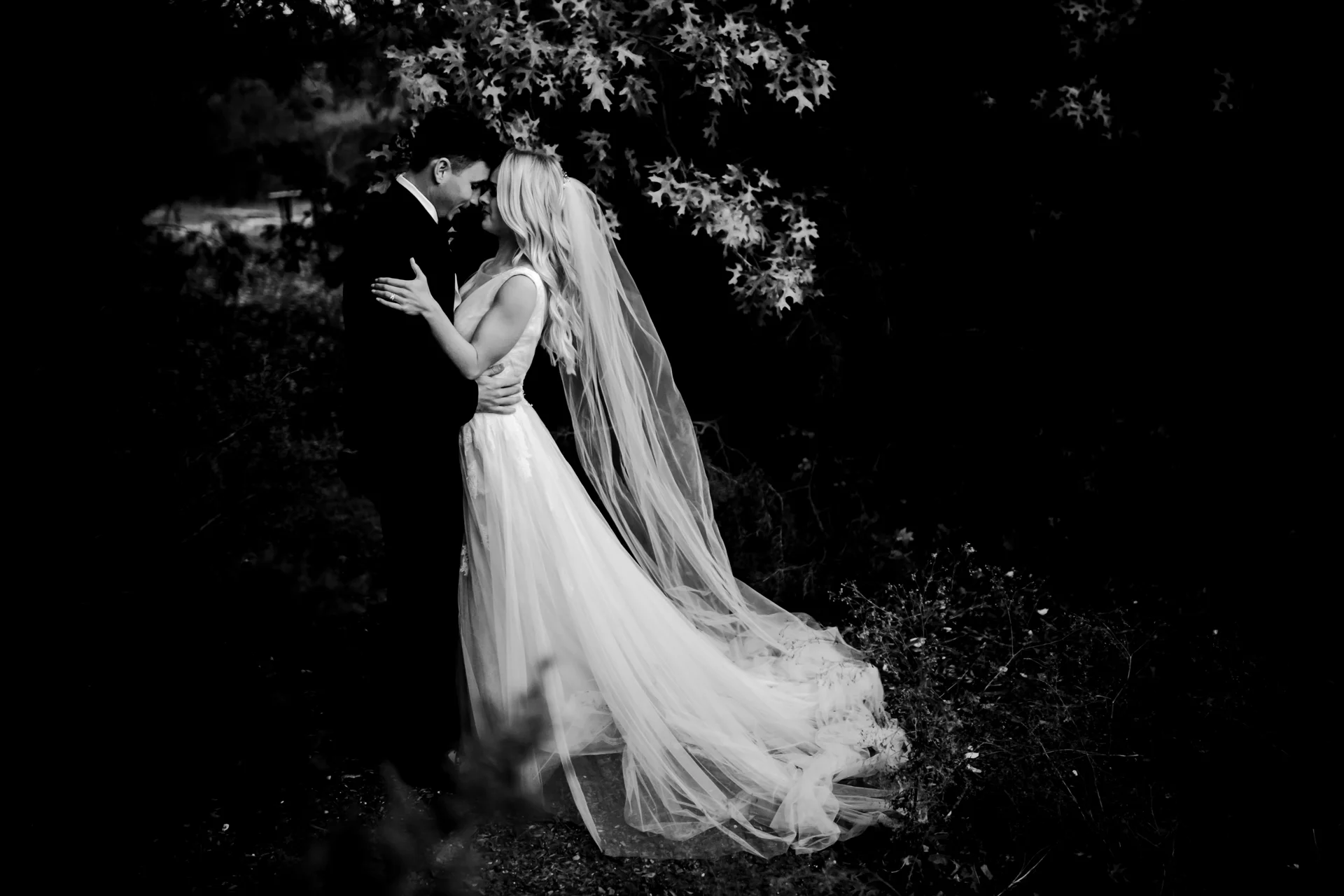 Luke & Cara-1511_MG_9174.jpg