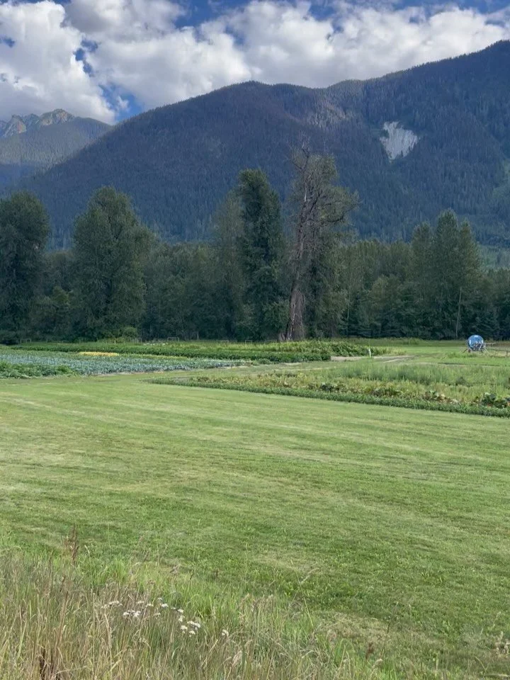 David and I are coming up on our 10-year wedding anniversary next month and I can&rsquo;t imagine a better way to celebrate. 🏔️🌻✨
#farmtotabledinner #longtable #araxi #dinneronthefarm #pemberton #farmfreshtoyou #farmfreshflowers #chefsdinner