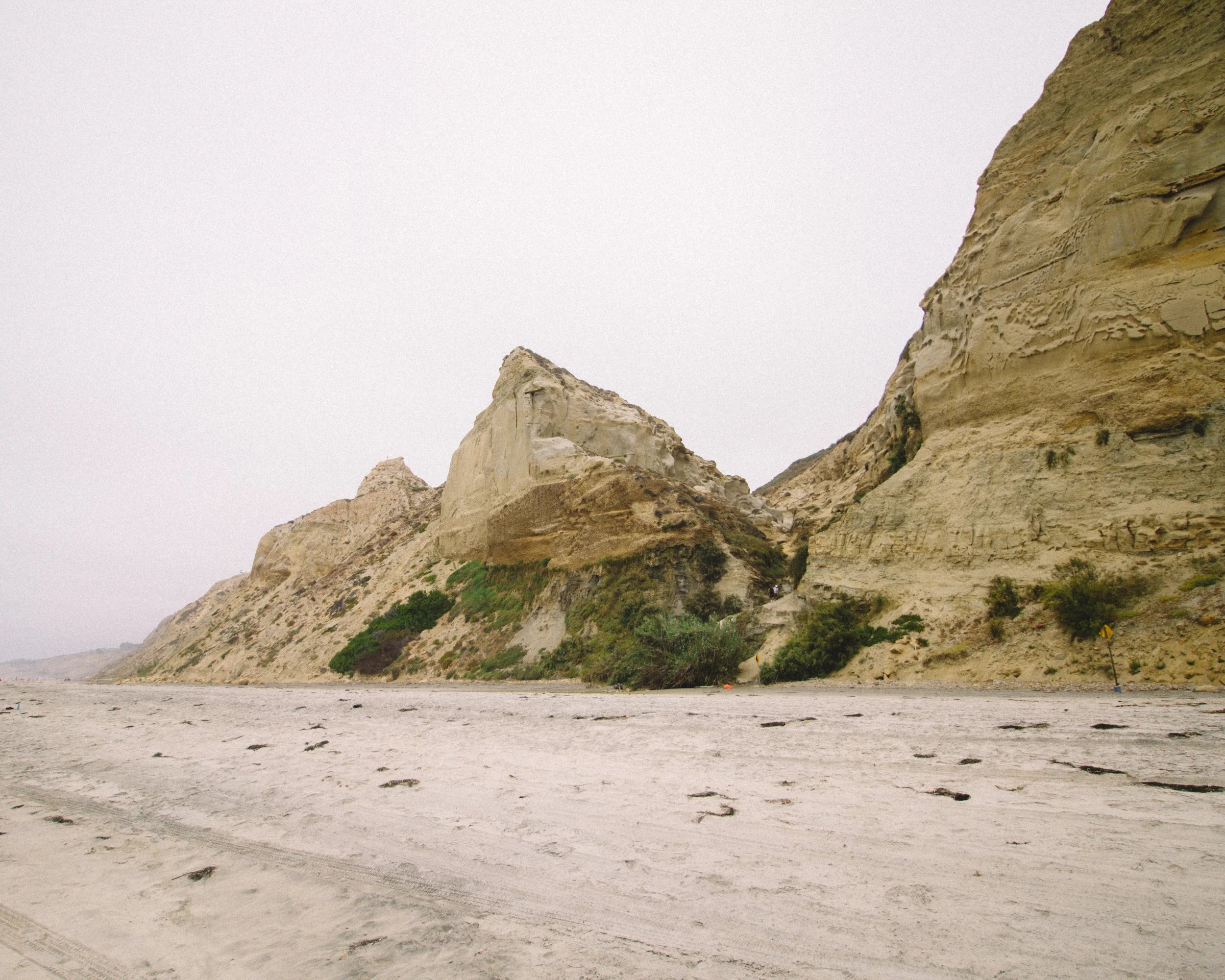 Ajp_190723_2150f.JPG