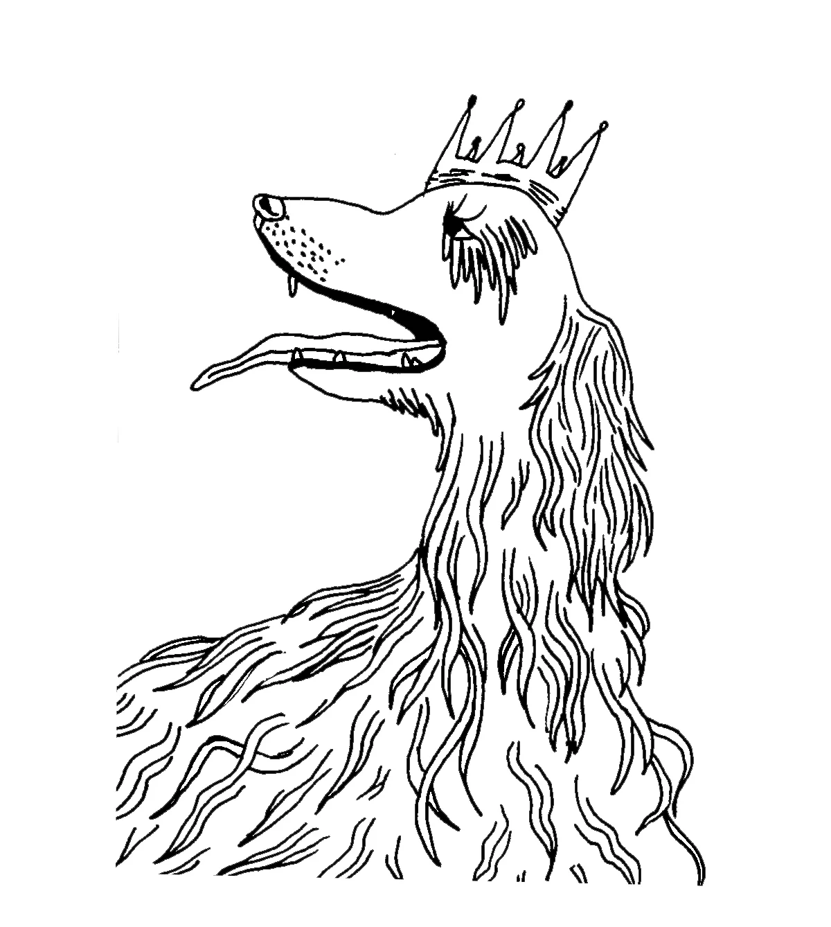 DOGD.jpg