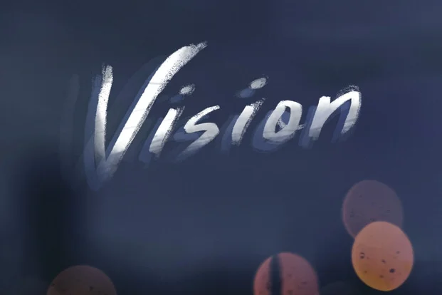 Vision (Fall 2017)