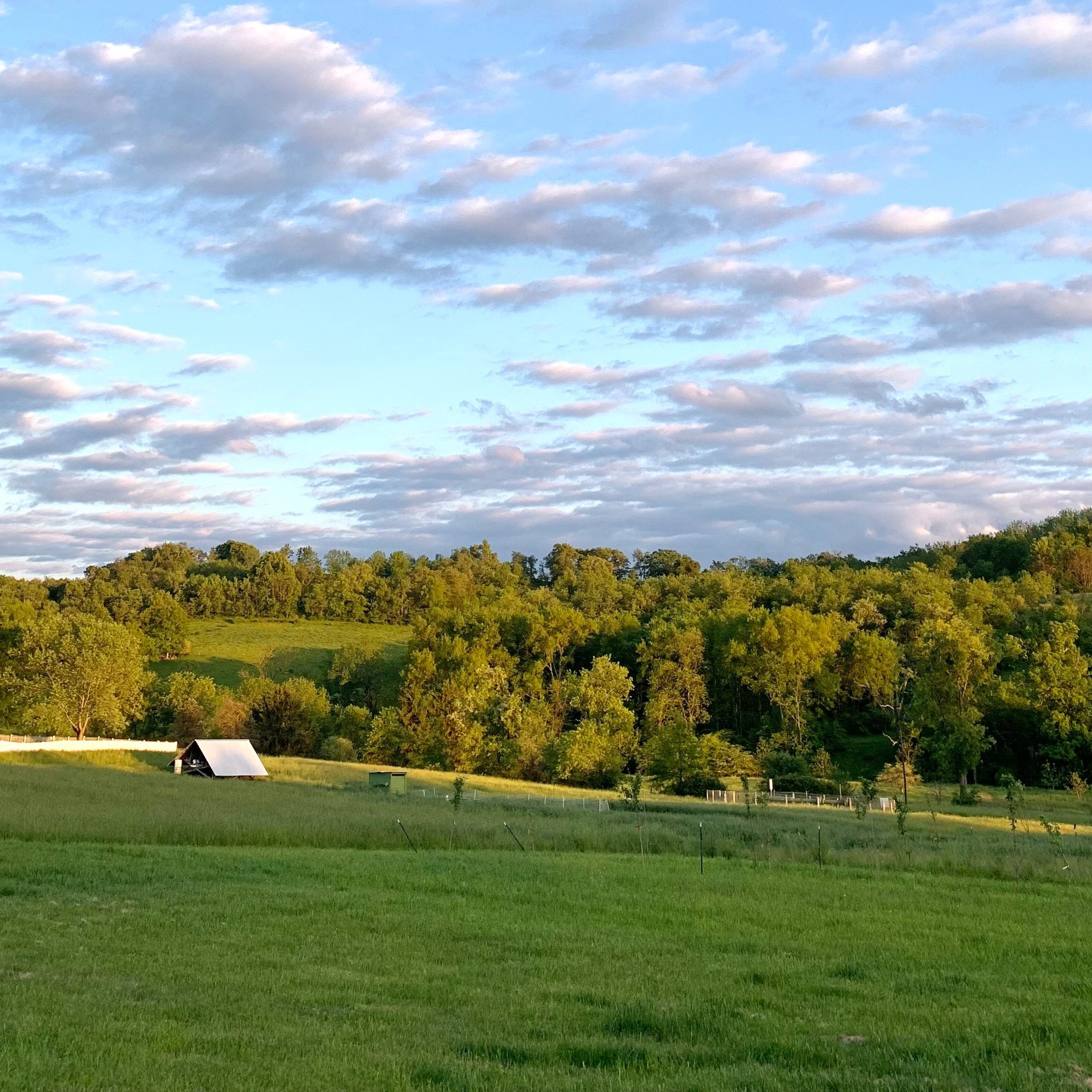 Generational Farm Crisis