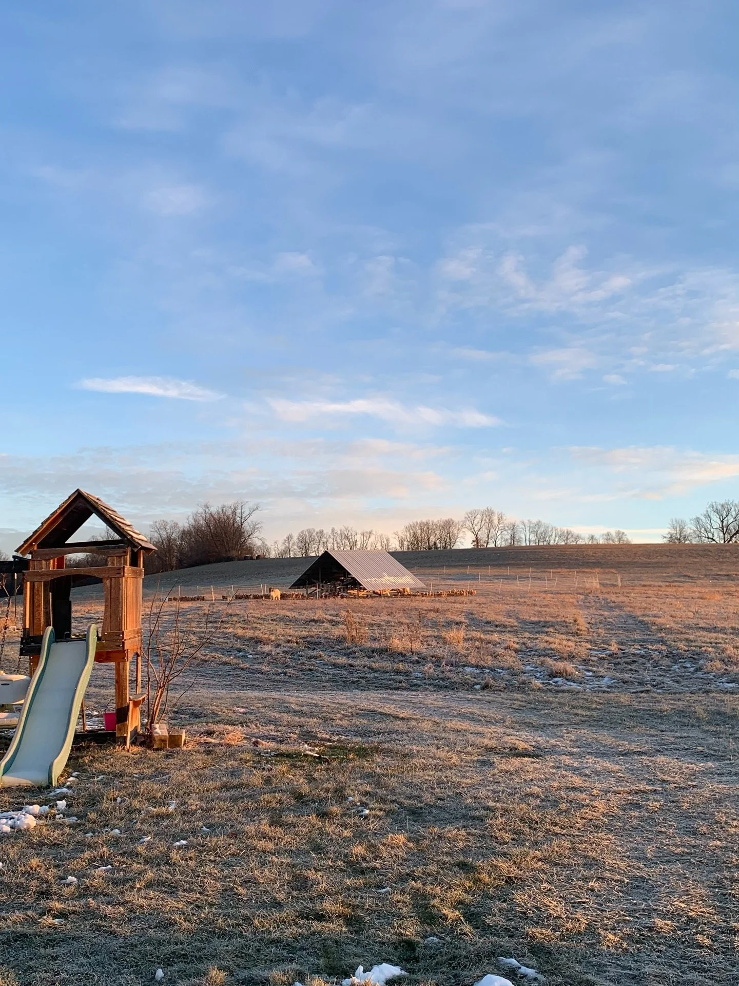 Joel recently had to travel for his full-time job which meant I had to hold down the fort, and we made it! 

The kids and I completed all of Joel&rsquo;s usual chores for the pigs, chickens, dogs, and the wood burner which heats our home. 

Indoors, 