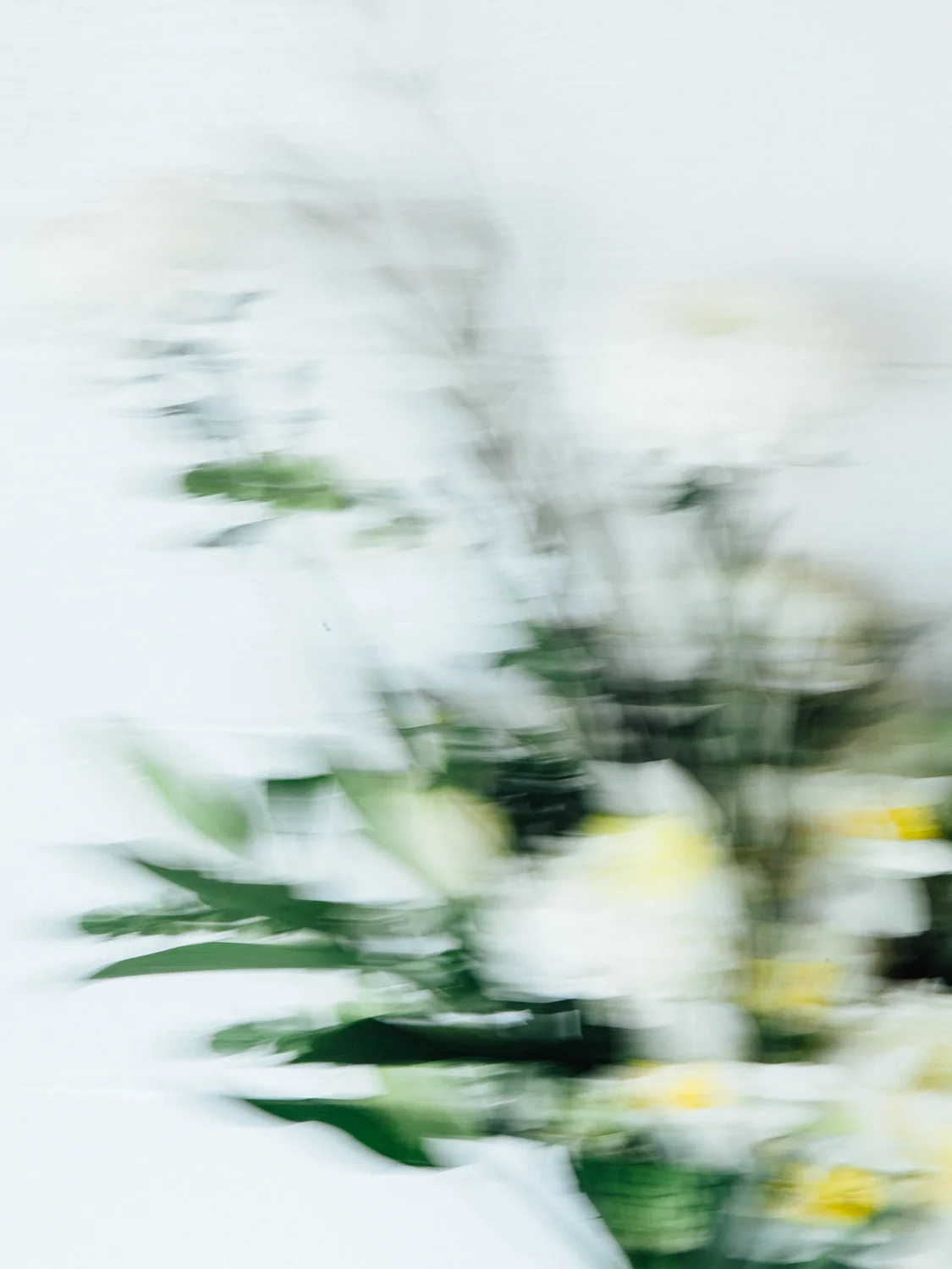 FieldworkFlowers_Calisch_WEB-1.jpg