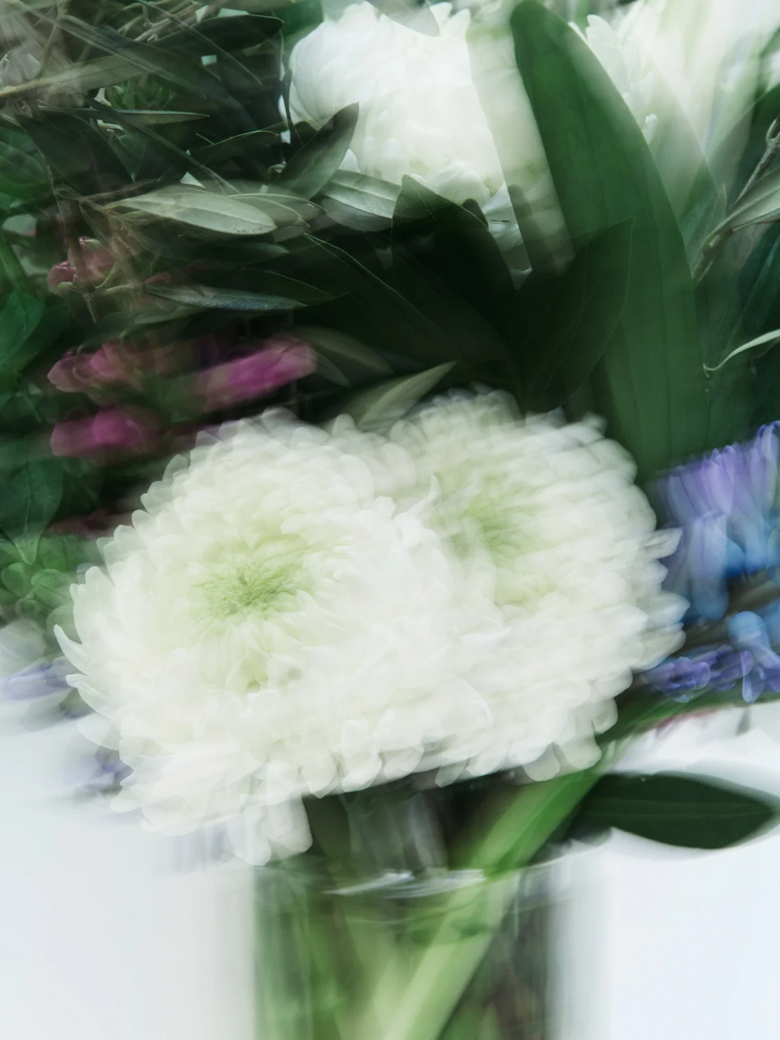 FieldworkFlowers_Calisch_WEB-5.jpg