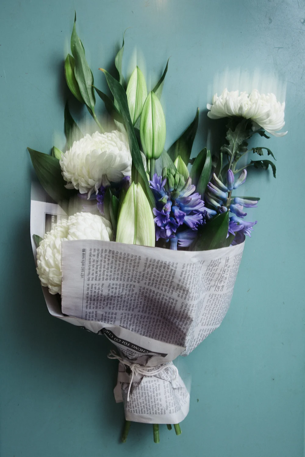 FieldworkFlowers_Calisch_WEB-10.jpg
