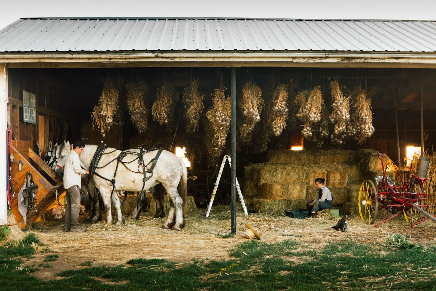 HayShakerFarm_Calisch_WEB-1-5.jpg