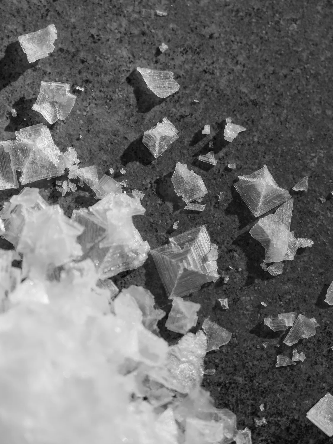 Saltworks_Calisch_WEB-8.jpg