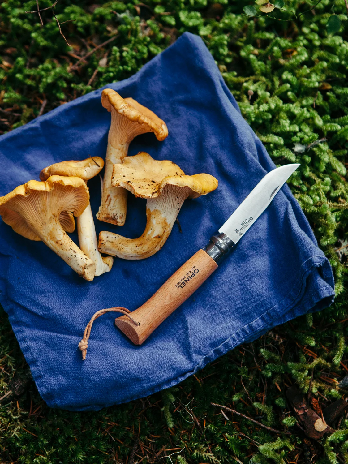 Opinel_Calisch_WEB-7.jpg