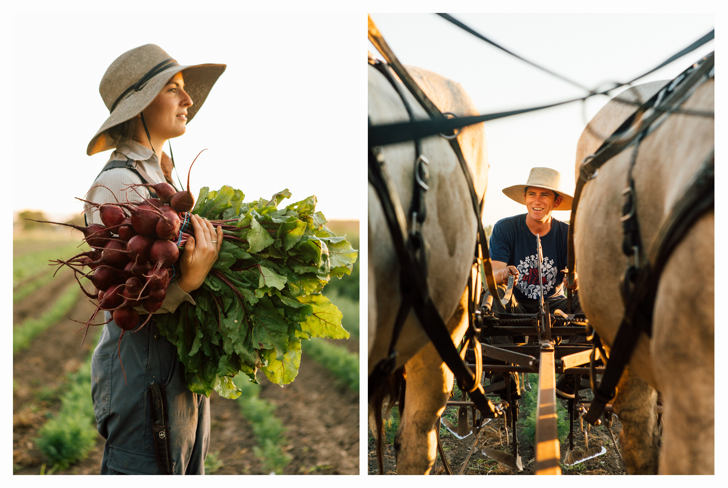 Pair-HayShakerFarm_Calisch_WEB.jpg