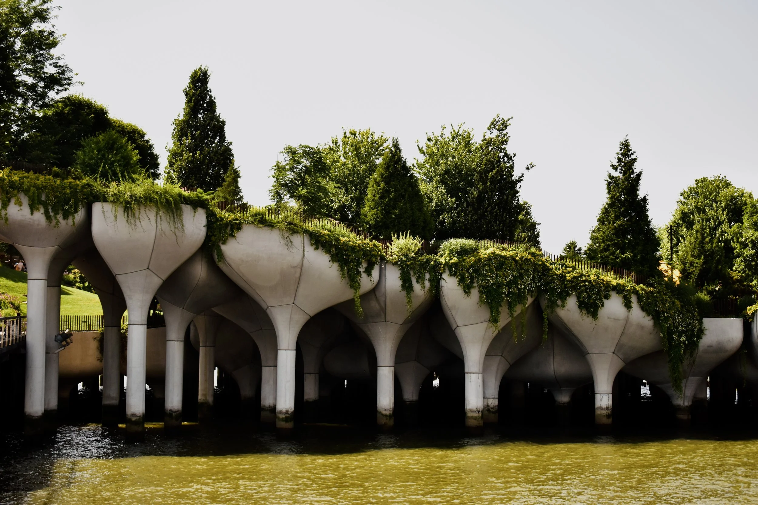 DSC_0056.jpeg
