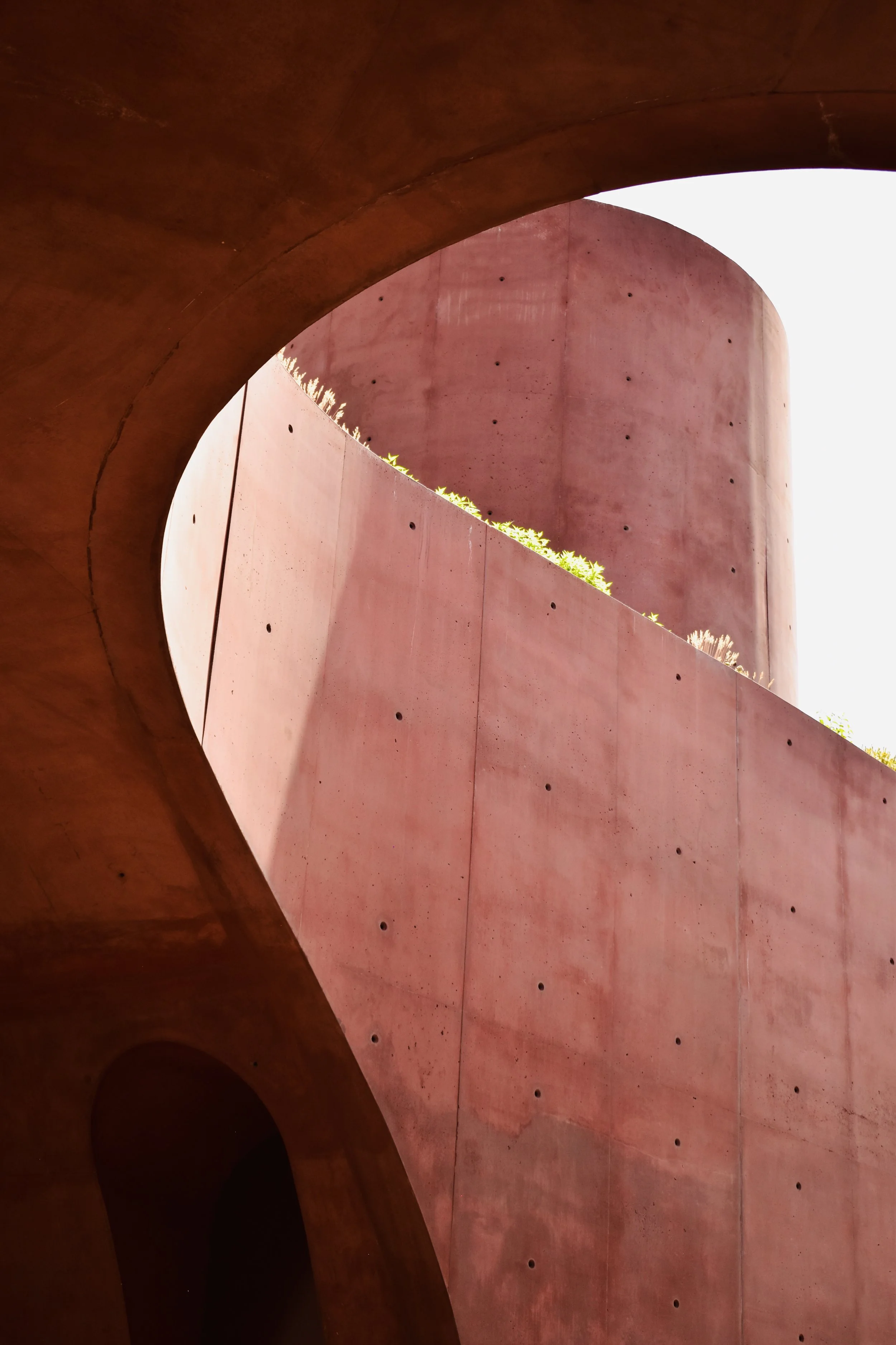 DSC_1823.jpeg