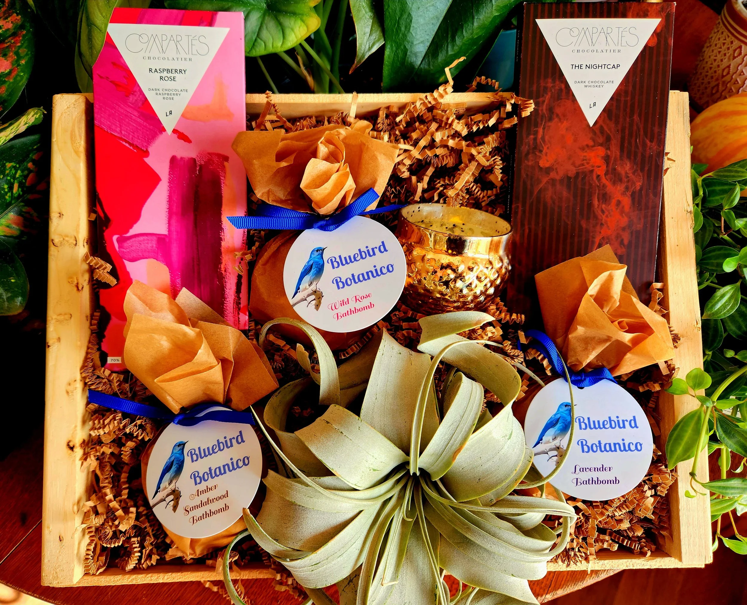 Creature Comforts Bathbomb Air Plant Gift Crate