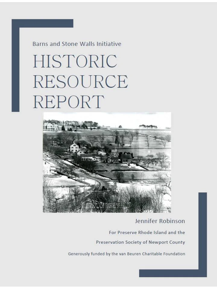 Robinson Final Report.jpg