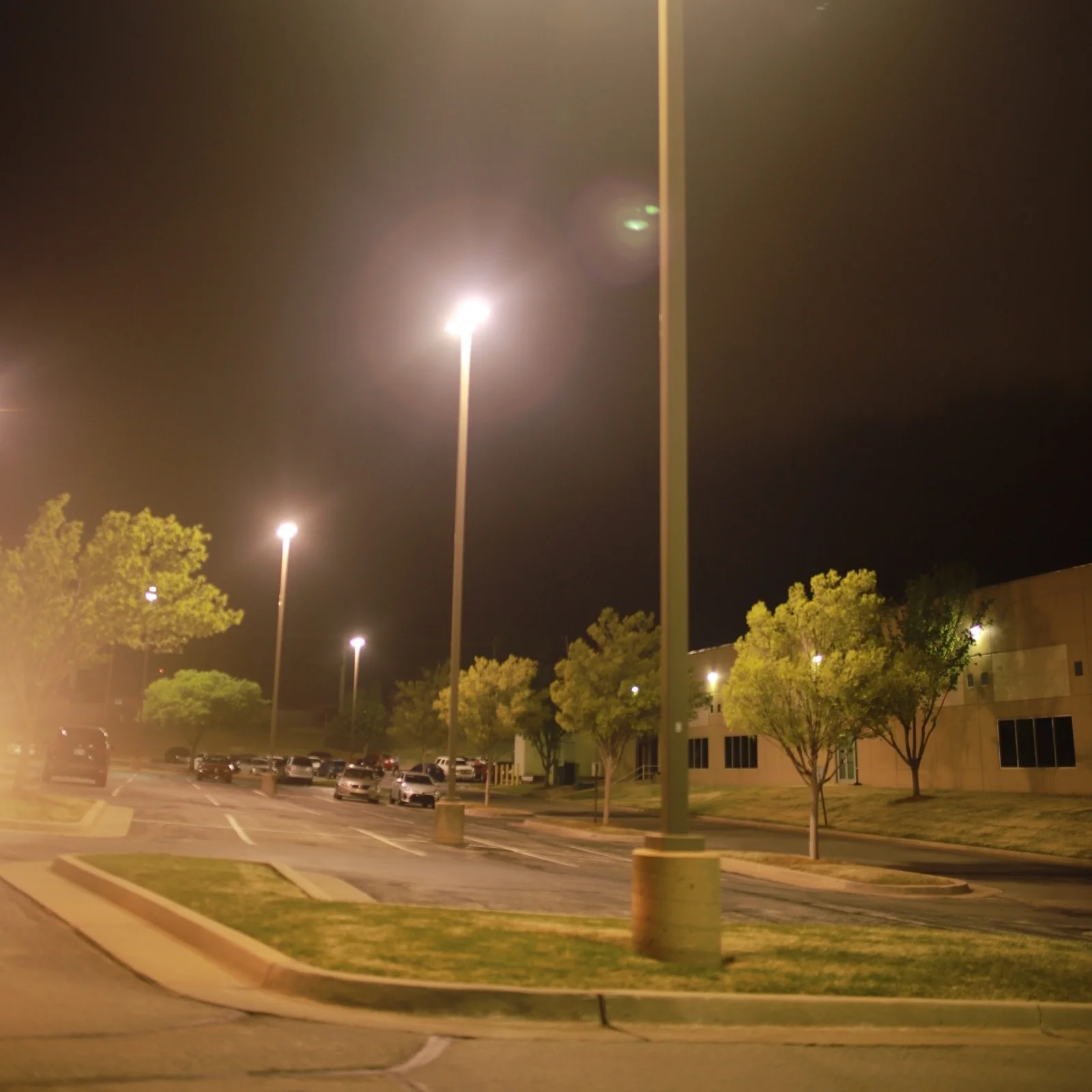 Copy+of+Sprint+Light+Pole.jpg