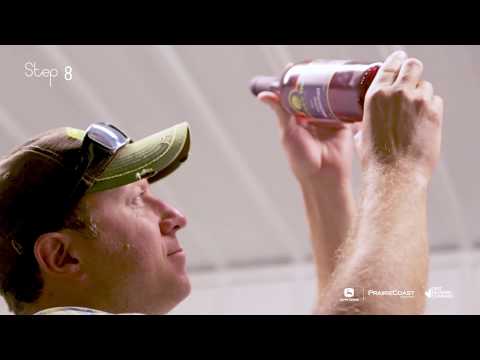 It Starts Heere: How To Make A Haskap wine
