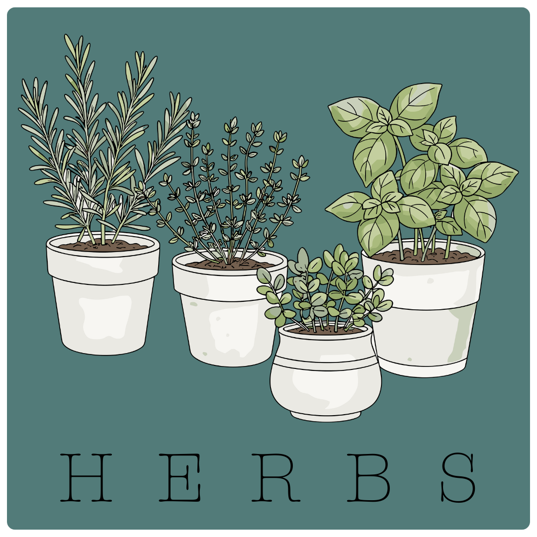 Make an Herb Garden