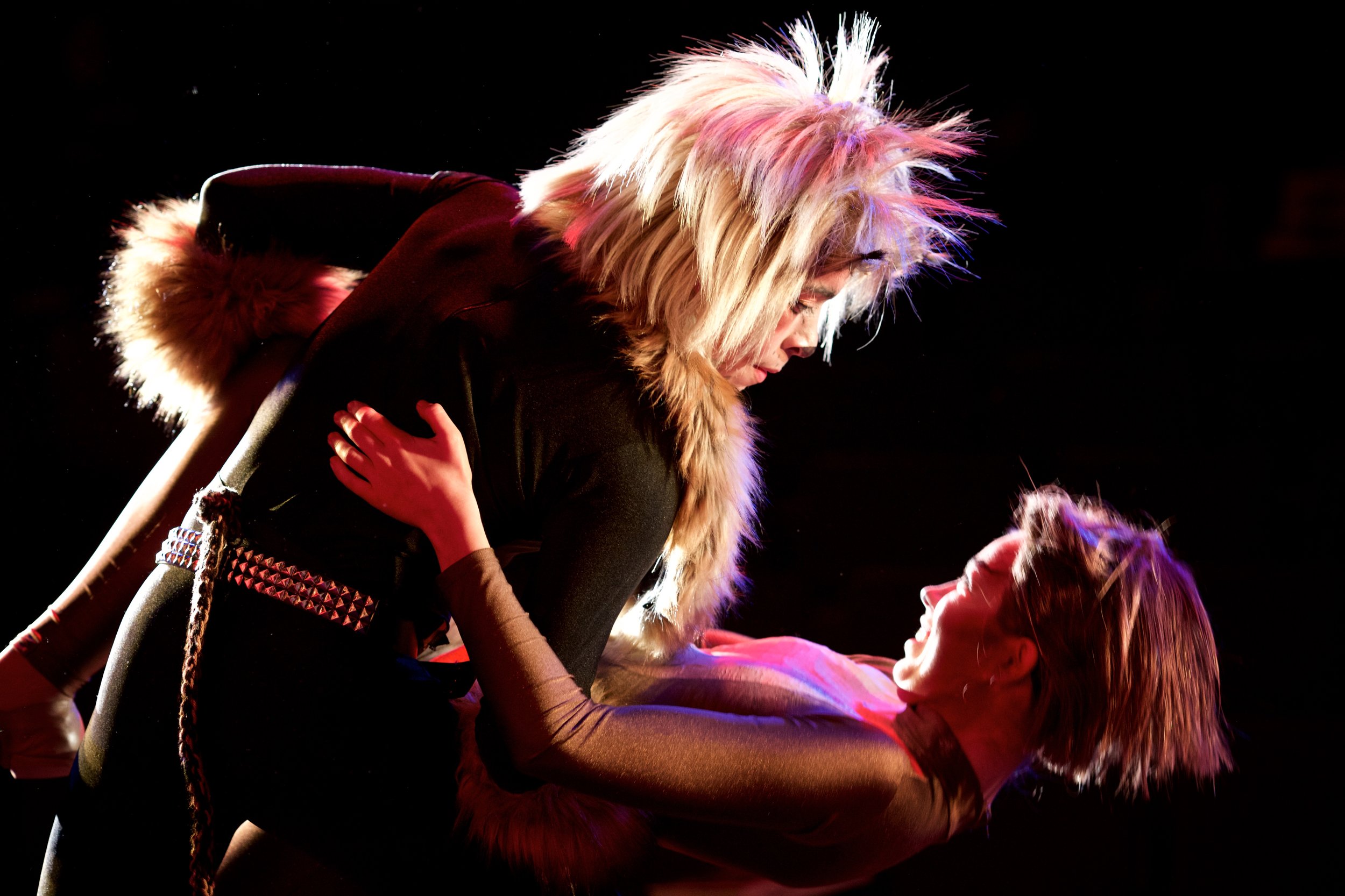 Rum Tum Tugger and Cassandra