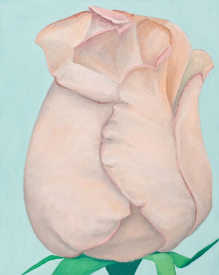 Picture2.jpg
