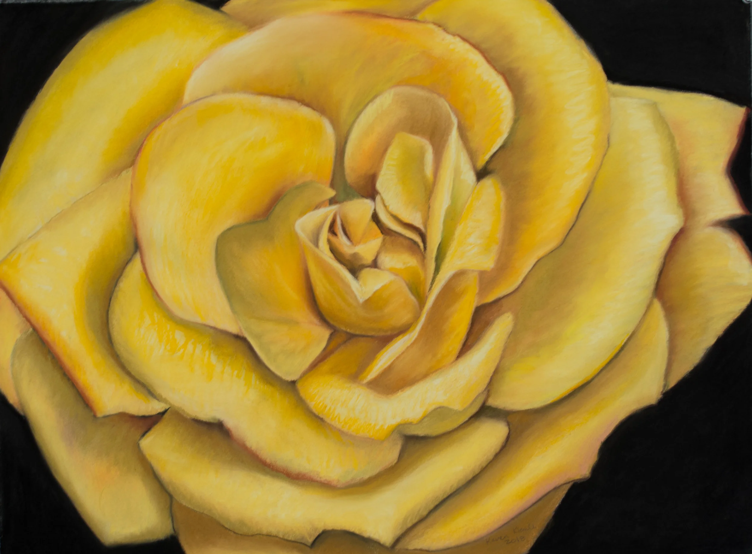 Yellow Rose.jpg