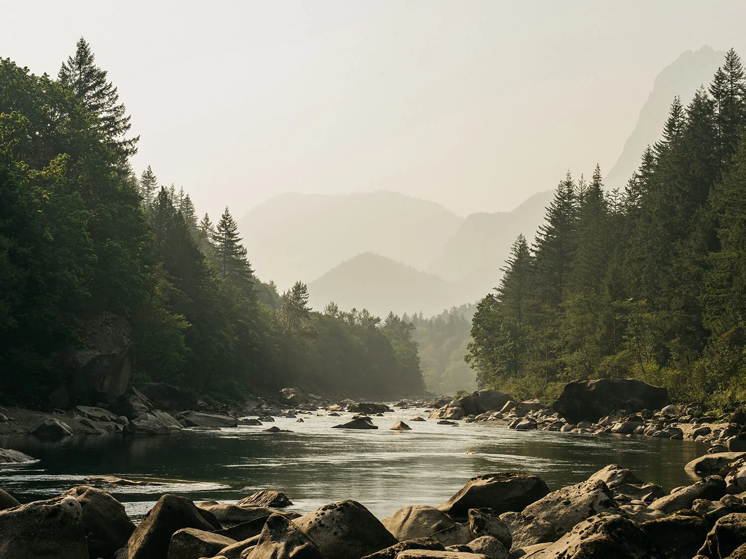 _0000s_0000_DK_Forrest-1772.jpg