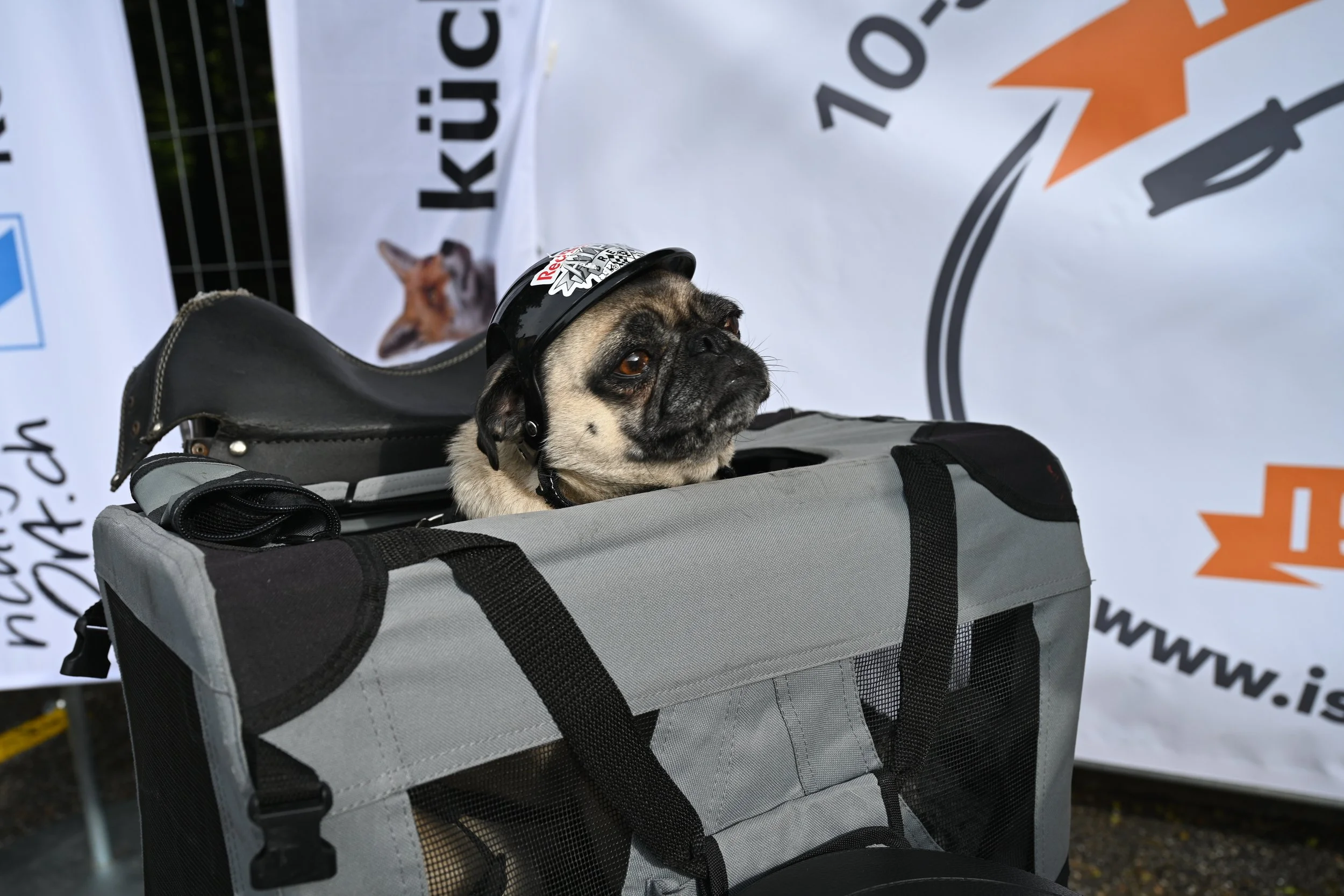 DSC_0246.JPG