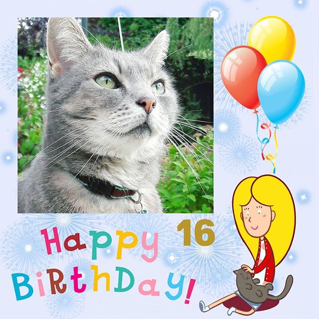 Happy birthday to our hero The real Figgs. He's 16 today and looking as young as ever. Join me in wishing him a very happy birthday with lots of love, fun and treats to come. 🎉✨🎂🎁🎈💜
.
.
.
.
#cats #birthdayboy #pets #petsofinstagram #Instagram #p