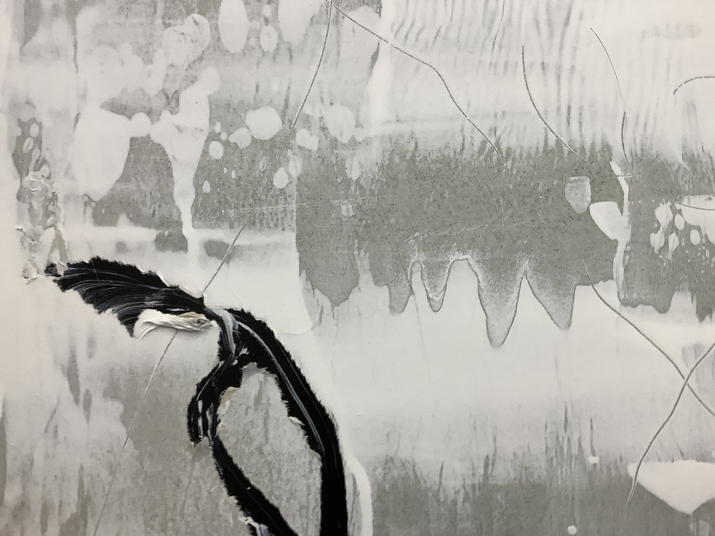 F448F875-C078-4ED2-A91B-C7C4FC97A966.jpeg