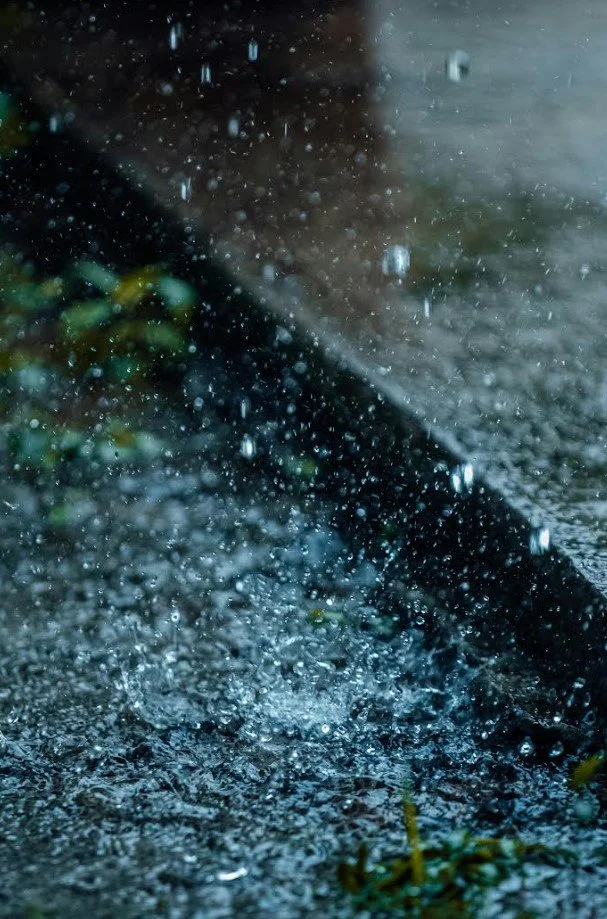 Look between the rain.jpg